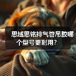 思域思铭排气管吊胶哪个型号更耐用？