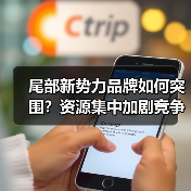 尾部新势力品牌如何突围?资源集中加剧竞争格局 尾部新势力品牌如何突围?资源集中加剧竞争格局