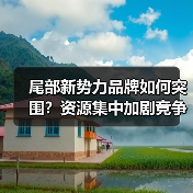 尾部新势力品牌如何突围?资源集中加剧竞争格局 尾部新势力品牌如何突围?资源集中加剧竞争格局