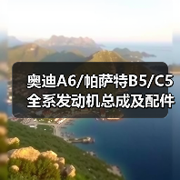 奥迪A6/帕萨特B5/C5全系发动机总成及配件大全 奥迪A6/帕萨特B5/C5全系发动机总成及配件大全