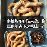 多地购车补贴来袭，你真的能省下这笔钱吗？