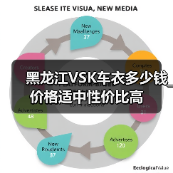 黑龙江VSK车衣多少钱_价格适中性价比高 黑龙江VSK车衣多少钱_价格适中性价比高