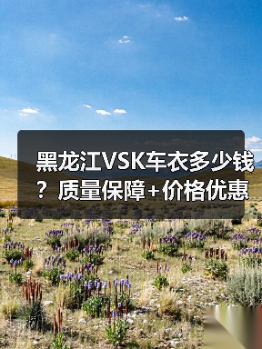 黑龙江VSK车衣多少钱?质量保障+价格优惠,一站式解决方案 黑龙江VSK车衣多少钱?质量保障+价格优惠,一站式解决方案