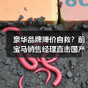 豪华品牌降价自救？前宝马销售经理直击国产品牌冲击真相