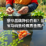 豪华品牌降价自救？前宝马销售经理直击国产品牌冲击真相