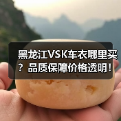 黑龙江VSK车衣哪里买?品质保障价格透明! 黑龙江VSK车衣哪里买?品质保障价格透明!