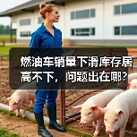 燃油车销量下滑库存居高不下,问题出在哪? 燃油车销量下滑库存居高不下,问题出在哪?