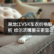 黑龙江VSK车衣价格解析 哈尔滨哪里买更靠谱? 黑龙江VSK车衣价格解析 哈尔滨哪里买更靠谱?