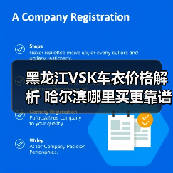 黑龙江VSK车衣价格解析 哈尔滨哪里买更靠谱? 黑龙江VSK车衣价格解析 哈尔滨哪里买更靠谱?