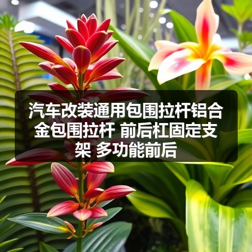 智穹界佑迈疾配网