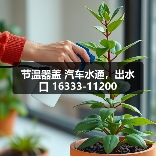 智穹界佑迈疾配网