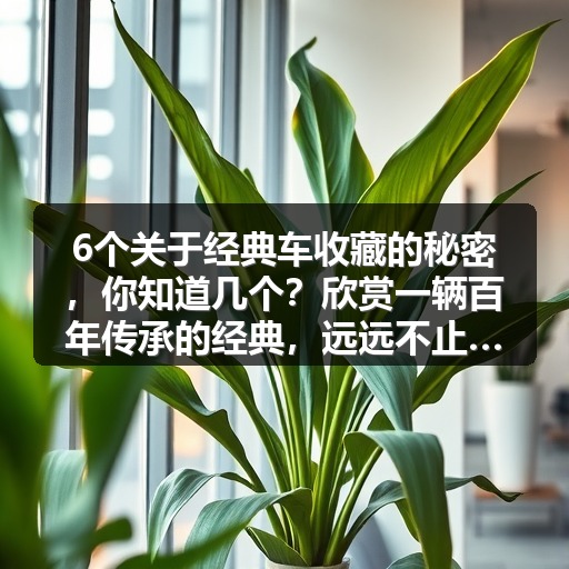 6个关于经典车收藏的秘密,你知道几个?欣赏一辆百年传承的经典,远远不止是一场视觉盛宴。汽车收藏不仅是一种爱好,更是一门文化传承的艺术。对于“经典车收藏”这个话题 6个关于经典车收藏的秘密,你知道几个?欣赏一辆百年传承的经典,远远不止是一场视觉盛宴。汽车收藏不仅是一种爱好,更是一门文化传承的艺术。对于“经典车收藏”这个话题