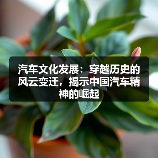汽车文化发展:穿越历史的风云变迁,揭示中国汽车精神的崛起 汽车文化发展:穿越历史的风云变迁,揭示中国汽车精神的崛起