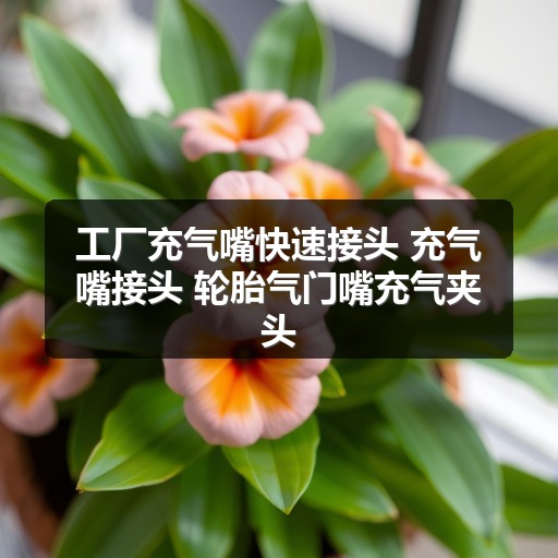 工厂充气嘴快速接头 充气嘴接头 轮胎气门嘴充气夹头 工厂充气嘴快速接头 充气嘴接头 轮胎气门嘴充气夹头
