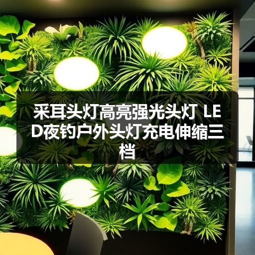 采耳头灯高亮强光头灯 LED夜钓户外头灯充电伸缩三档