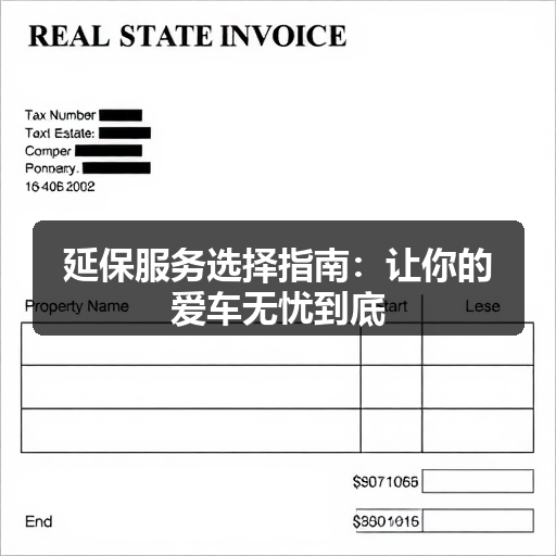延保服务选择指南：让你的爱车无忧到底