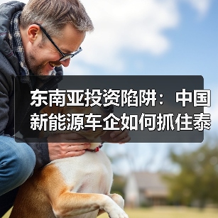 东南亚投资陷阱:中国新能源车企如何抓住泰国印尼政策红利 东南亚投资陷阱:中国新能源车企如何抓住泰国印尼政策红利