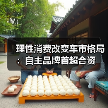 理性消费改变车市格局:自主品牌首超合资 理性消费改变车市格局:自主品牌首超合资