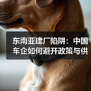 东南亚建厂陷阱:中国车企如何避开政策与供应链风险? 东南亚建厂陷阱:中国车企如何避开政策与供应链风险?