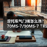 摩托车气门嘴怎么选?70MS-7/90MS-7 TR555D安装指南 摩托车气门嘴怎么选?70MS-7/90MS-7 TR555D安装指南