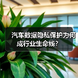 汽车数据隐私保护为何成行业生命线？