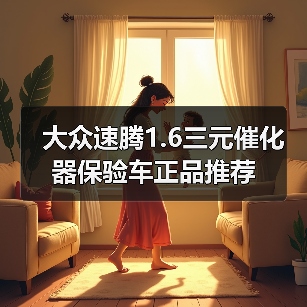 大众速腾1.6三元催化器保验车正品推荐