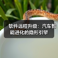 软件远程升级：汽车智能进化的隐形引擎