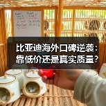 比亚迪海外口碑逆袭：靠低价还是真实质量？