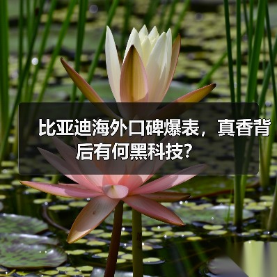 比亚迪海外口碑爆表，真香背后有何黑科技？