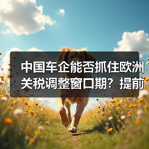 中国车企能否抓住欧洲关税调整窗口期？提前布局关键在本地化