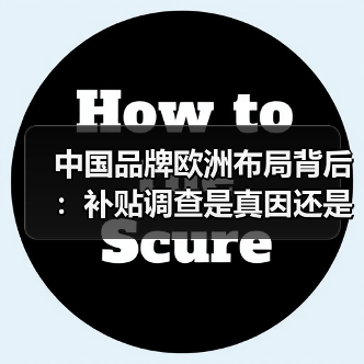 中国品牌欧洲布局背后：补贴调查是真因还是政治博弈？
