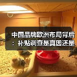 中国品牌欧洲布局背后：补贴调查是真因还是政治博弈？