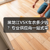 黑龙江VSK车衣多少钱？专业供应商一站式采购指南