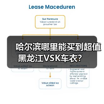 哈尔滨哪里能买到超值黑龙江VSK车衣？