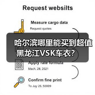 哈尔滨哪里能买到超值黑龙江VSK车衣？