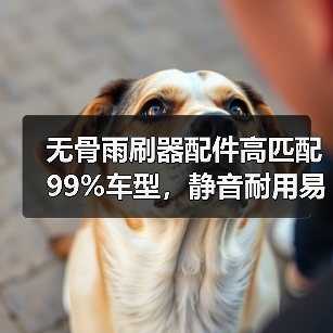 无骨雨刷器配件高匹配99%车型，静音耐用易安装？