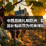 中国品牌扎堆欧洲，欧盟补贴调查为何来得如此迅猛？