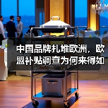 中国品牌扎堆欧洲，欧盟补贴调查为何来得如此迅猛？