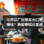 印尼设厂比整车出口更赚钱？拆解奇瑞比亚迪布局背后的真相