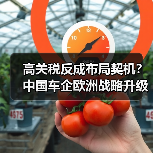 高关税反成布局契机？中国车企欧洲战略升级实探