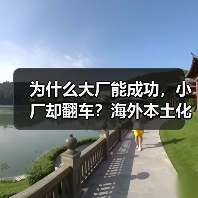 为什么大厂能成功，小厂却翻车？海外本土化真相曝光