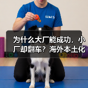 为什么大厂能成功，小厂却翻车？海外本土化真相曝光