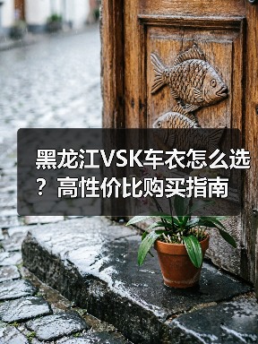 黑龙江VSK车衣怎么选？高性价比购买指南
