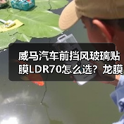 威马汽车前挡风玻璃贴膜LDR70怎么选？龙膜车衣全解析