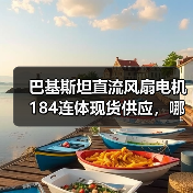 巴基斯坦直流风扇电机184连体现货供应，哪里买？