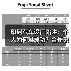印尼汽车设厂陷阱：个人为何难成功？合作策略揭秘