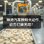 神龙汽车换帅大动作，能否打破困局？