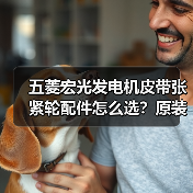 五菱宏光发电机皮带张紧轮配件怎么选？原装推荐