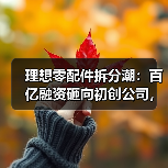 理想零配件拆分潮：百亿融资砸向初创公司，你还在犹豫吗？
