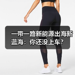 一带一路新能源出海新蓝海：你还没上车？